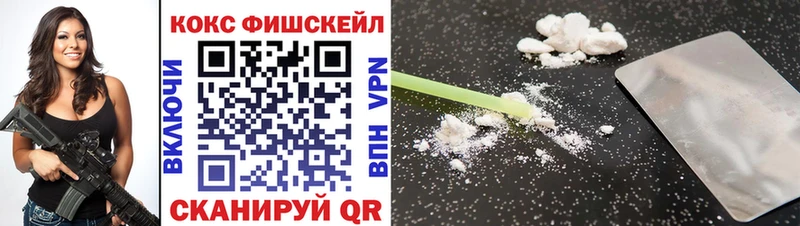 Купить закладки  Николаевск-на-Амуре  COCAIN VHQ 