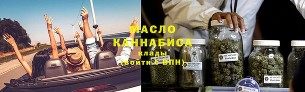 стаф Инта