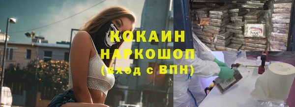 стаф Инта