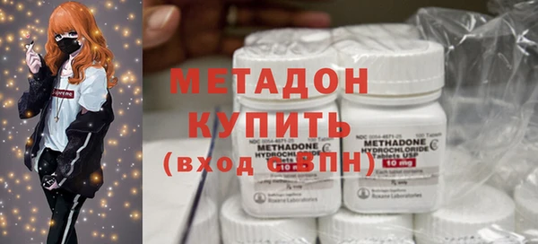 стаф Инта