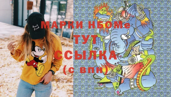 стаф Инта