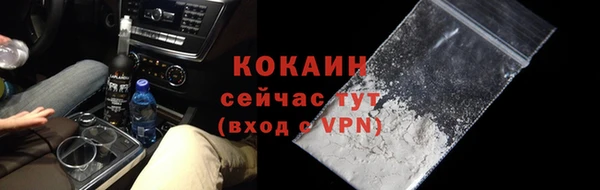 стаф Инта