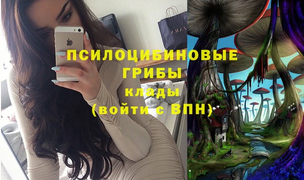 стаф Инта