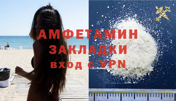 стаф Инта